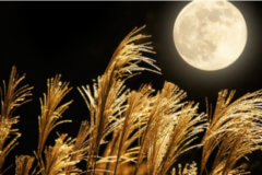 10月2日、牡羊座満月は“愛の目覚め”を宣言する